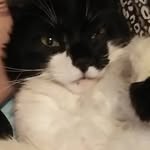 Barbara Thorn - @barbara_thorn - Instagram