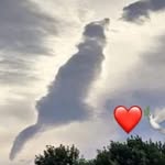 Barbara Thornley - @barbarathornley - Instagram
