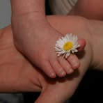 Barbara Tomaselli - Facebook