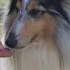 Barbara Tomaselli - @barbara.tomaselli5 - TikTok