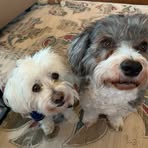 Barbara Tomasetti - Facebook
