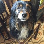 Barbara Tomassoni - @tomassoni.barbara - Instagram