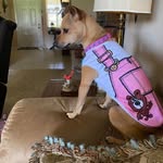 Barbara Anne Berent Tomczyk - @berenttomczyk - Instagram