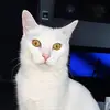 Barbara Tomczyk - @barbara.tomczyk2 - TikTok