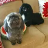 Barbara S Tomlin - @barbara.s.tomlin - TikTok