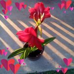 Barbara Toner - @babsbona2323 - Instagram