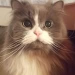 Barbara Tong - @barbara_tong2 - Instagram