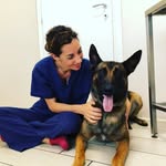 Veterinaria Nutrizionista - @dr.barbaratonini - Instagram
