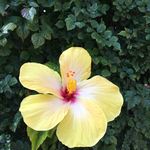 Barbara Tooker - @singinmysong1 - Instagram