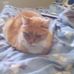 Barbara Tooker - Facebook