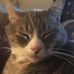 Barbara Toolan - Facebook