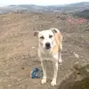 Barbara Tooley - @barbara.tooley6 - TikTok