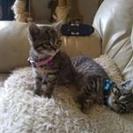 Barbara Tooley - @barbara.tooley.3 - Instagram