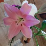 Barbara Török - @barbara.torok.77 - Instagram