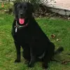 barbaratortomas - @barbaratortomas - TikTok