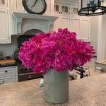 Barbara Totten Ferris - @barb50barb50 - Instagram