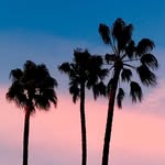 Blue Sky - @santa.barbara.town - Instagram