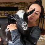 Barbara Clinedinst Trapani Wilson - Facebook