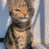 Barbara.Goldoni-Trapani - @carisspzi51 - TikTok