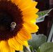 Barb Traver - Facebook