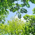 Barbara Tree - @barbara.tree.spotting - Instagram