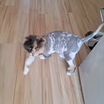 Barbara Tremblay - @barbara.tremblay.71 - Instagram
