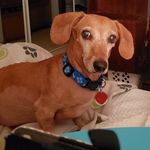 Barbara Tremblay Devonshire Griswold - @bdevonshire54 - Instagram