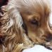 Barbara Trezzi - Facebook