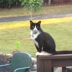 Barbara Hollimon Tribble Meuer - @barbarahollimontribble - Instagram