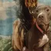 Barbara Tuck - @horsesellalover - TikTok
