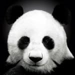 Barbara Tuck - @pandalover7887 - Instagram