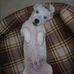 Barbara Urso - Facebook