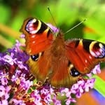 Barbara Vance - @barbara.vance.9843 - Instagram