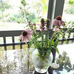 Barbara Varnum - @bvarnum1951 - Instagram