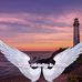 Barbara Varnum - Facebook