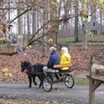 Barbara Vincent - @balingtwine - Instagram