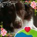 Barbara Vincent - Facebook