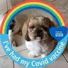 barbaravincent769 - @barbaravincent769 - TikTok