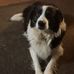 Barbara Wain - Facebook