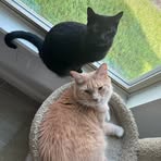 Barbara Walker - Facebook