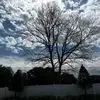 Barbara Ware - @barbara.ware7 - TikTok