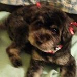 Barbara Ware - @barbware335 - Instagram