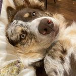 Barbara Waterman - @watermanb345 - Instagram