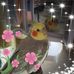 Barbara Watts - Facebook