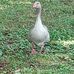 Barbara Watts - Facebook