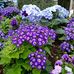 Barbara Waxman - Facebook
