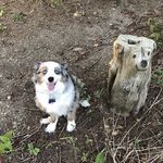 BEW - @barbara.waymire.9 - Instagram