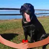 barbaraweekleysmi - @barbaraweekleysmi - TikTok