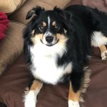 Barbara Weatherbee - @sailbeebj - Instagram
