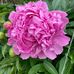 Barbara Weatherly - Facebook